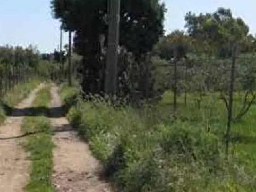 casa indipendente in vendita a Villa San Pietro