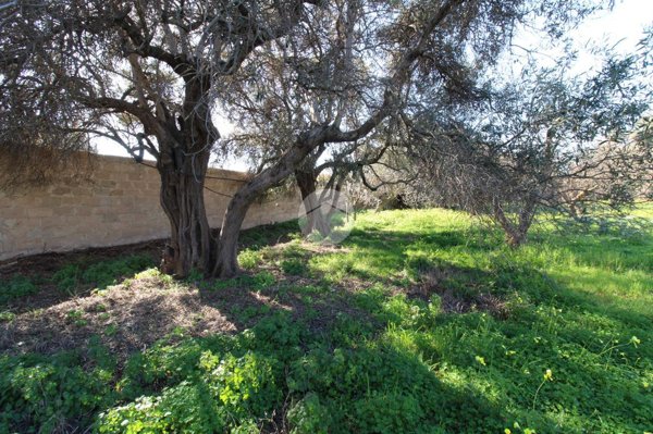 terreno edificabile in vendita a Quartucciu