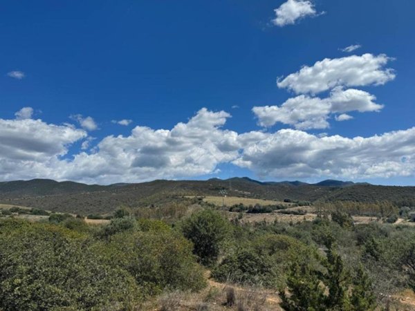 terreno agricolo in vendita a Quartucciu in zona Sant'Isidoro