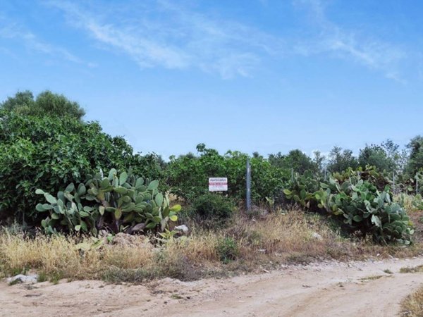 terreno agricolo in vendita a Quartucciu