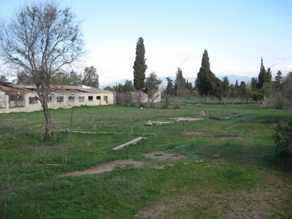 azienda agricola in vendita a Quartucciu in zona Sant'Isidoro