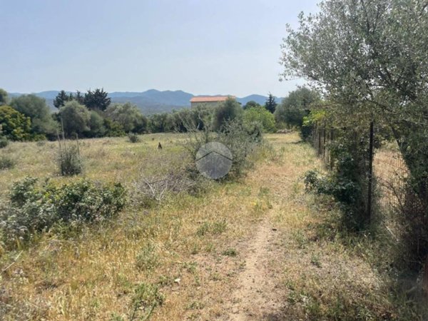 terreno agricolo in vendita a Quartucciu in zona Sant'Isidoro