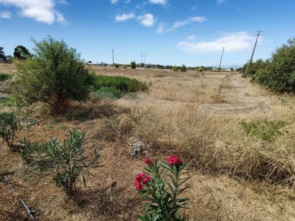 terreno agricolo in vendita a Quartucciu