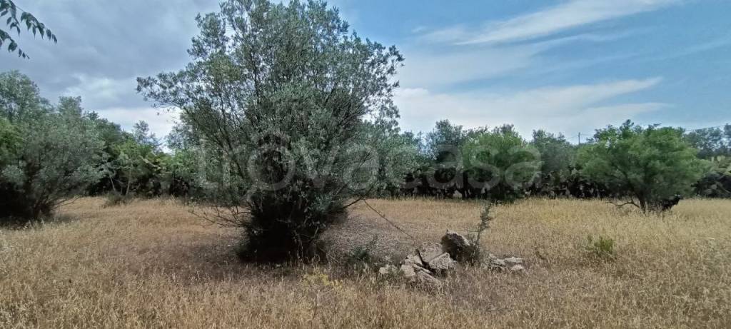 terreno edificabile in vendita a Quartucciu