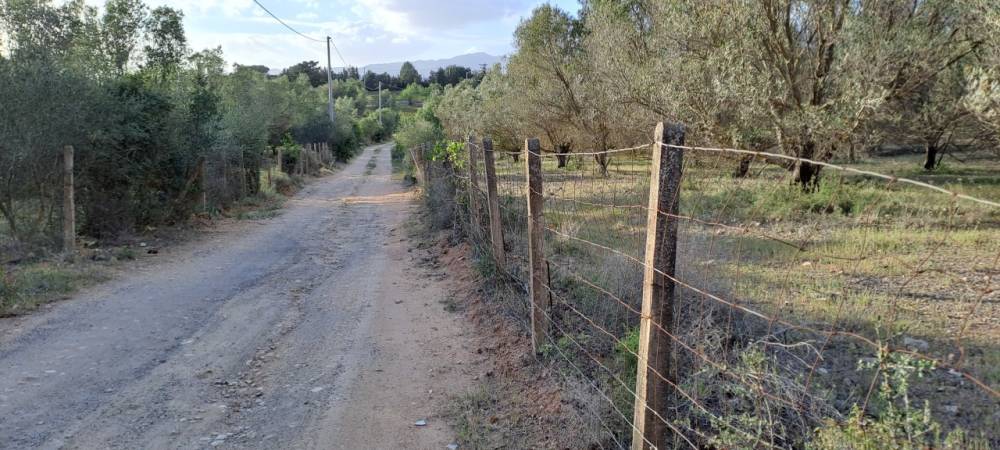 terreno agricolo in vendita a Quartucciu in zona Sant'Isidoro