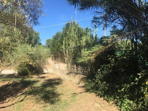 terreno agricolo in vendita a Quartucciu
