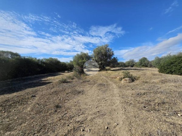 terreno edificabile in vendita a Quartucciu in zona Sant'Isidoro