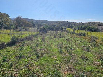 terreno agricolo in vendita a Quartucciu in zona Sant'Isidoro