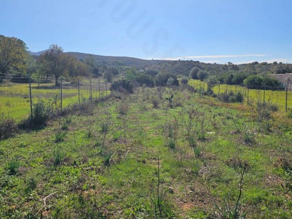 terreno agricolo in vendita a Quartucciu in zona Sant'Isidoro