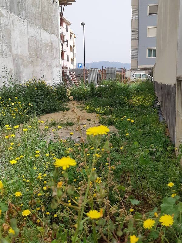terreno edificabile in vendita a Quartucciu