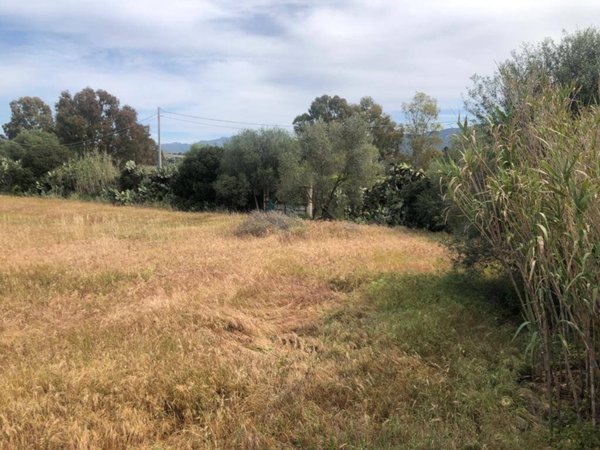 terreno agricolo in vendita a Quartucciu