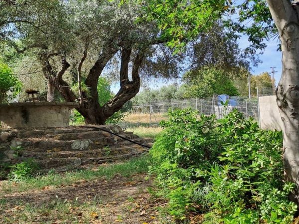 casa indipendente in vendita a Quartucciu