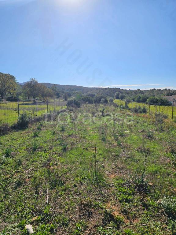 terreno agricolo in vendita a Quartucciu in zona Sant'Isidoro