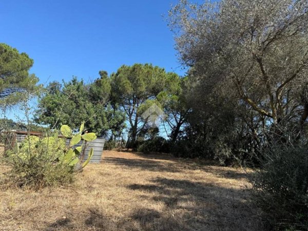 terreno agricolo in vendita a Quartucciu
