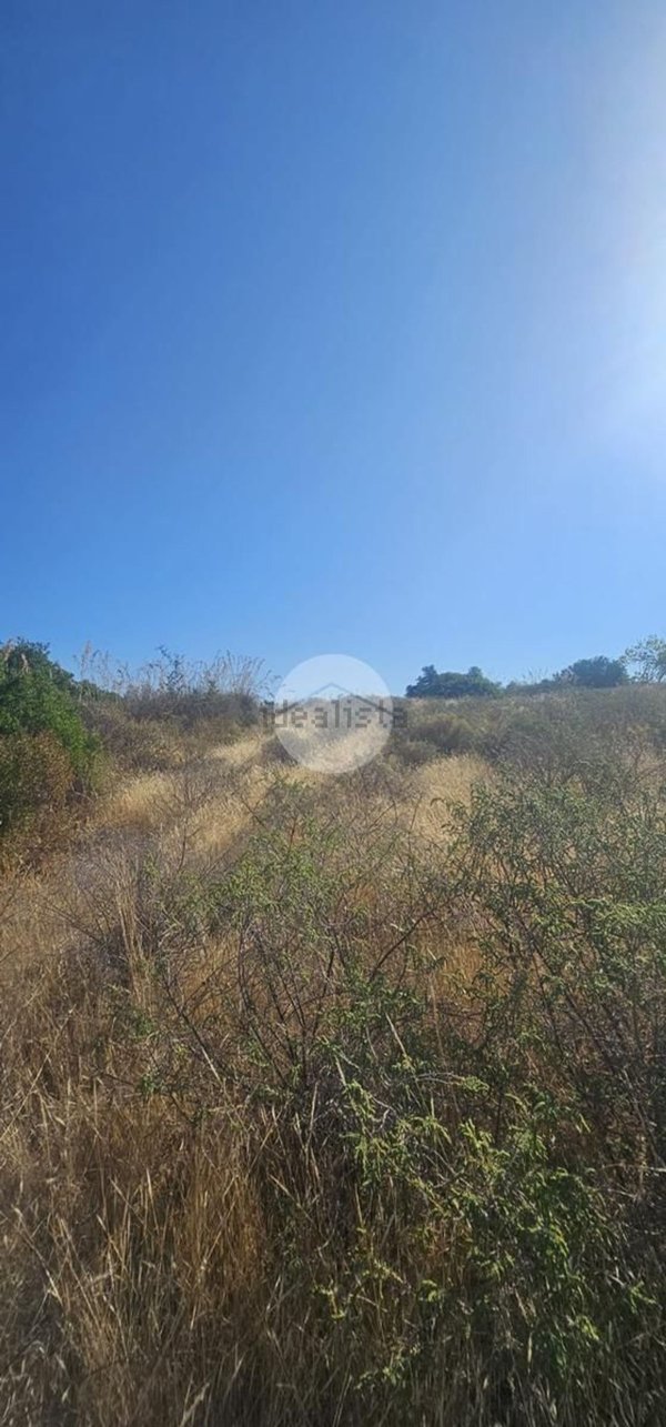 terreno agricolo in vendita a Quartucciu in zona Sant'Isidoro