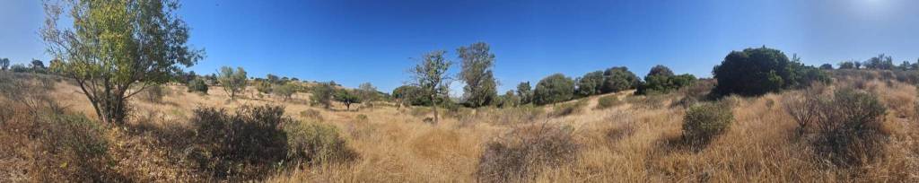 terreno agricolo in vendita a Quartucciu in zona Sant'Isidoro