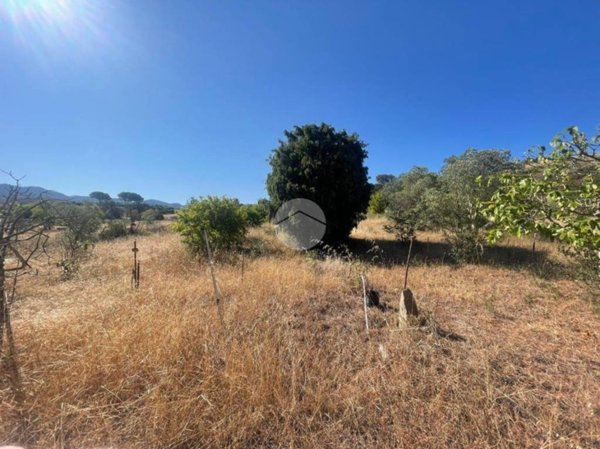 terreno edificabile in vendita a Quartucciu in zona Sant'Isidoro