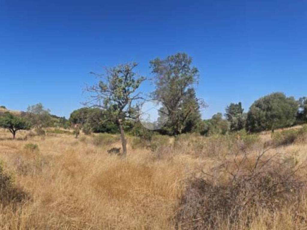 terreno agricolo in vendita a Quartucciu in zona Sant'Isidoro