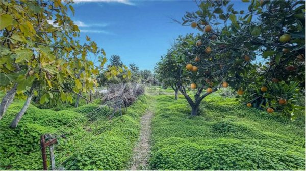 casa indipendente in vendita a Quartucciu in zona Sant'Isidoro