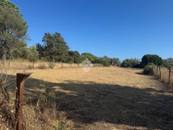 terreno agricolo in vendita a Quartucciu in zona Sant'Isidoro