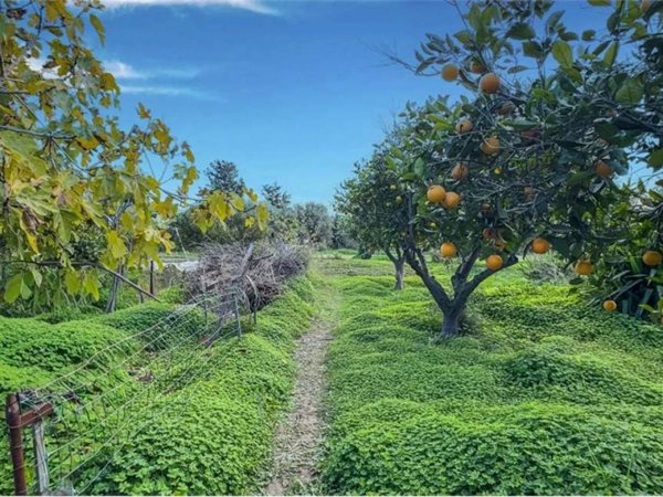 casa indipendente in vendita a Quartucciu in zona Sant'Isidoro