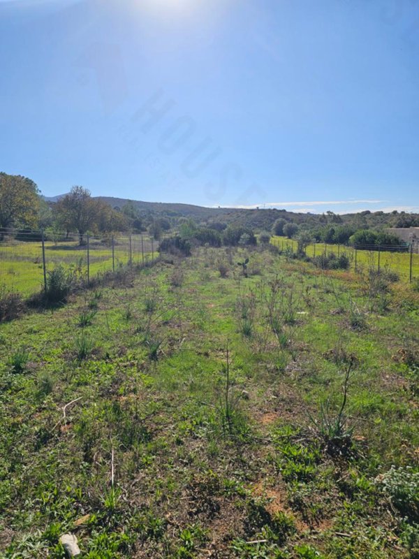 terreno agricolo in vendita a Quartucciu in zona Sant'Isidoro