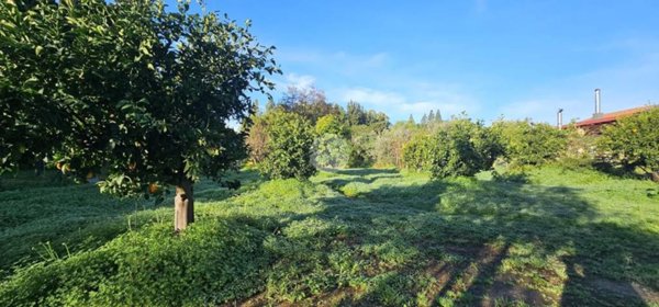 casa indipendente in vendita a Quartucciu