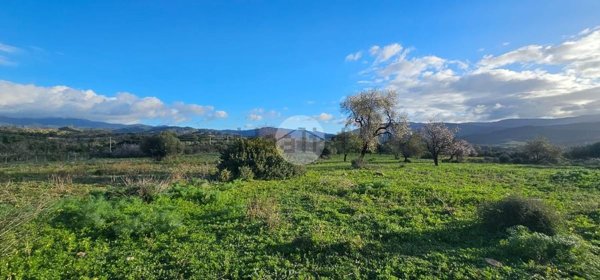 terreno edificabile in vendita a Quartucciu in zona Sant'Isidoro