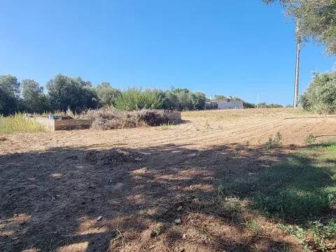 terreno agricolo in vendita a Quartucciu in zona Sant'Isidoro