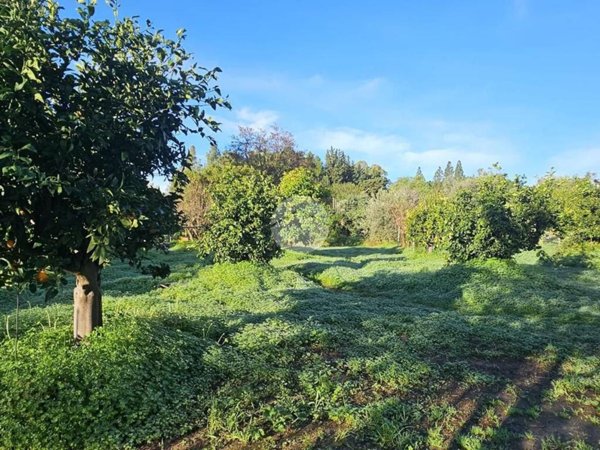 casa indipendente in vendita a Quartucciu in zona Sant'Isidoro