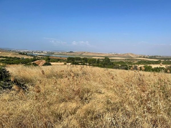 negozio in vendita a Quartucciu