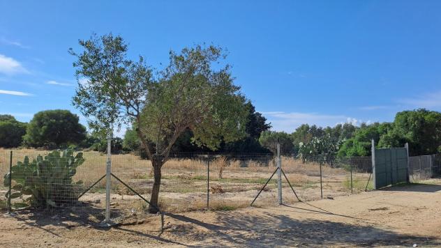 terreno agricolo in vendita a Quartucciu in zona Sant'Isidoro