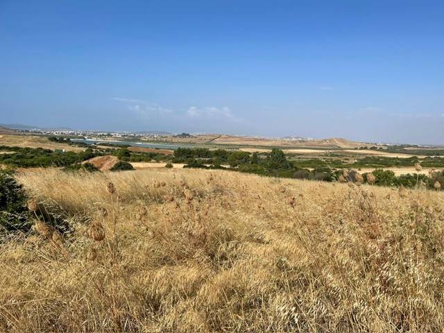 negozio in vendita a Quartucciu