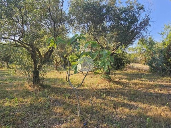 terreno edificabile in vendita a Quartucciu