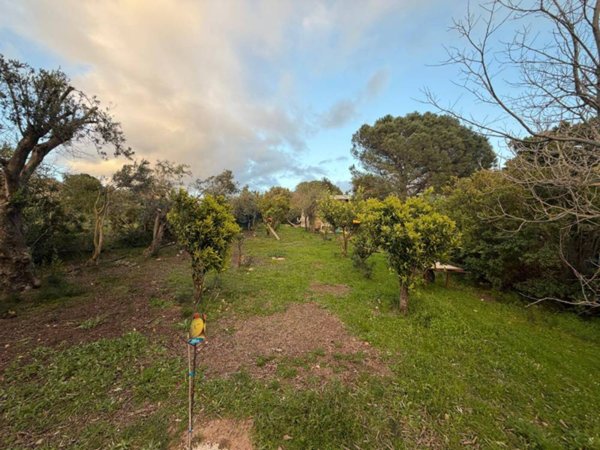 terreno agricolo in vendita a Quartucciu in zona Sant'Isidoro