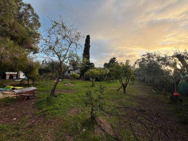 terreno agricolo in vendita a Quartucciu in zona Sant'Isidoro