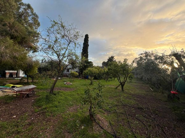 terreno agricolo in vendita a Quartucciu in zona Sant'Isidoro