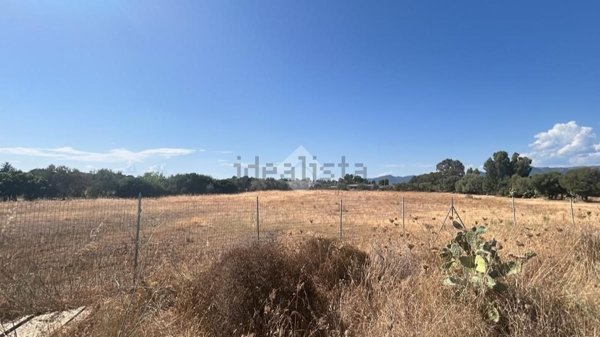 terreno agricolo in vendita a Quartucciu