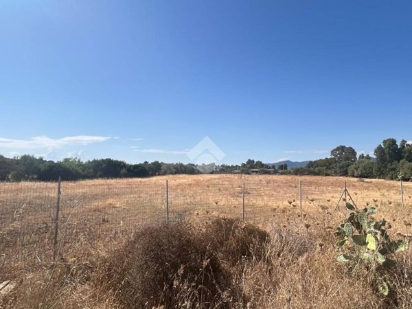 terreno agricolo in vendita a Quartucciu in zona Sant'Isidoro
