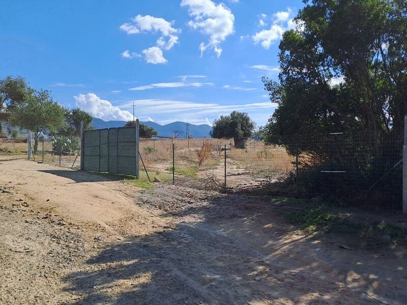terreno agricolo in vendita a Quartucciu