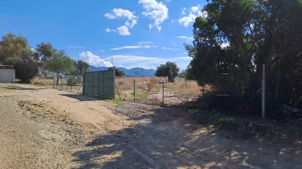 terreno agricolo in vendita a Quartucciu in zona Sant'Isidoro