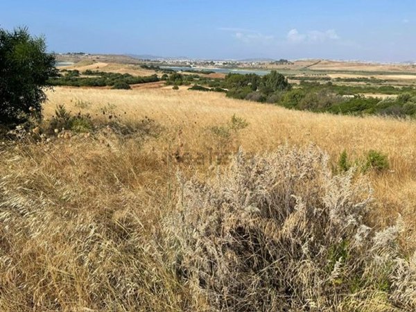 terreno agricolo in vendita a Quartucciu