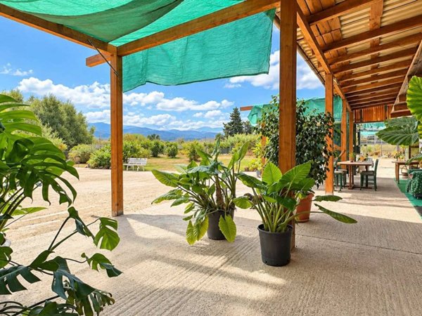 casa indipendente in vendita a Quartucciu