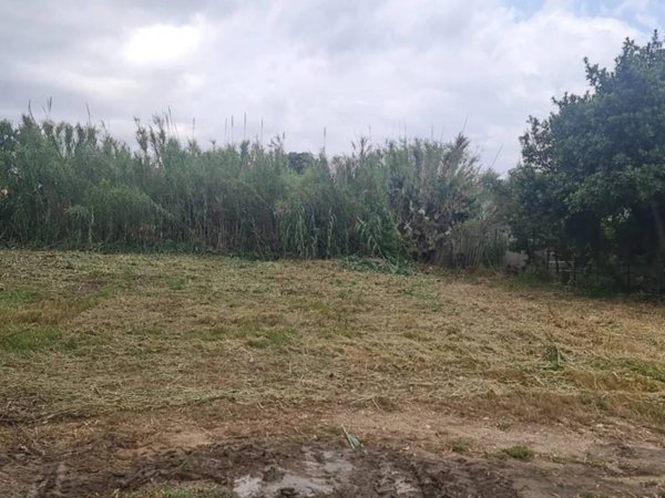 terreno agricolo in vendita ad Elmas