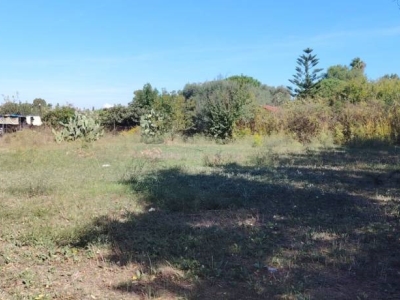 terreno agricolo in vendita ad Elmas