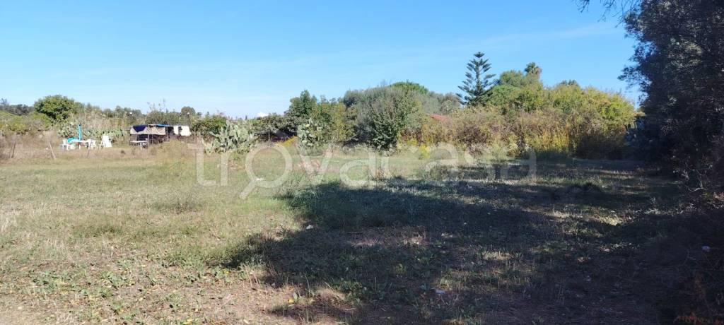 immagine annuncio 0 di 6