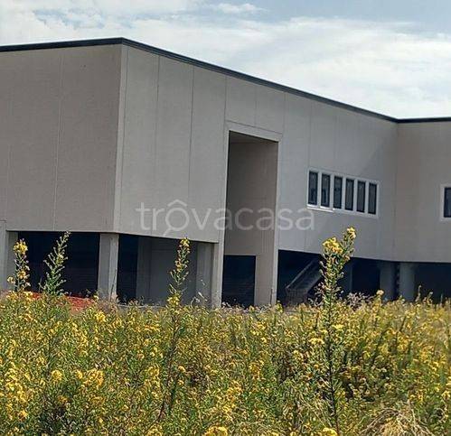 terreno edificabile in vendita ad Elmas