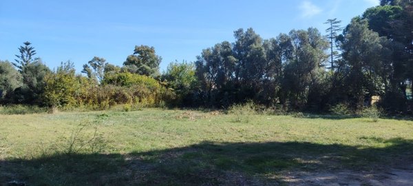 terreno agricolo in vendita ad Elmas