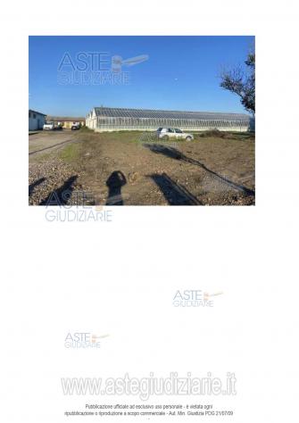 azienda agricola in vendita ad Elmas