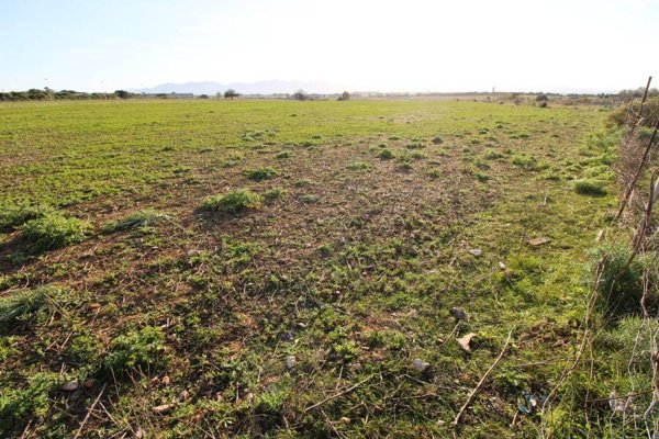 terreno edificabile in vendita ad Elmas